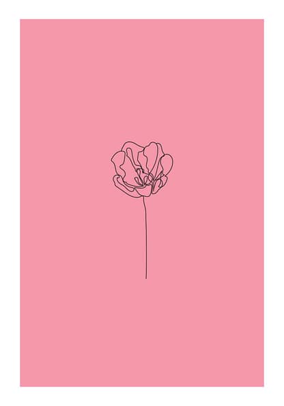 Poppy Flower Poster
