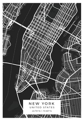 New York Black and White Poster
