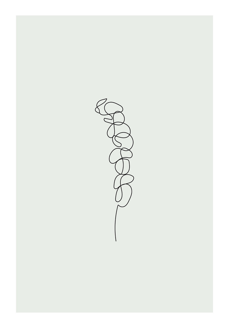 Eukalyptus Blomma Poster