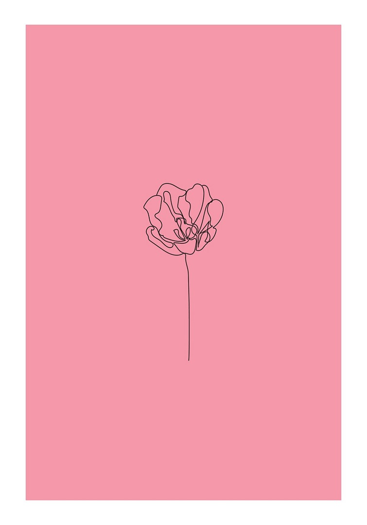 Poppy Flower Poster
