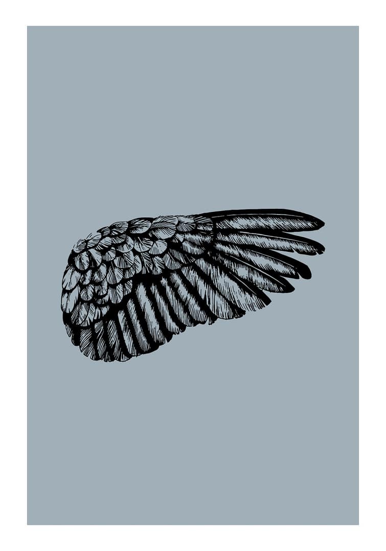 Black Wing Poster No2